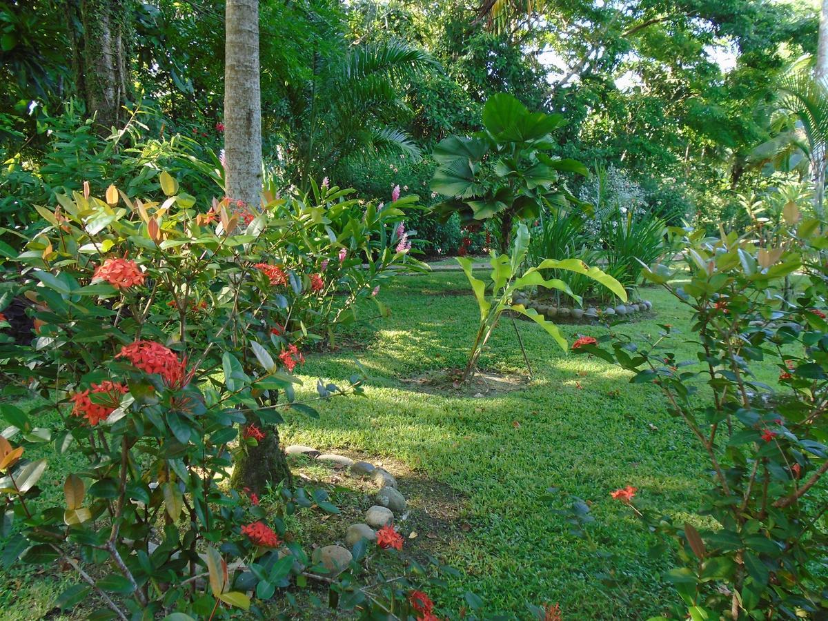 J And H Garden Cabinas Bocas Town Luaran gambar