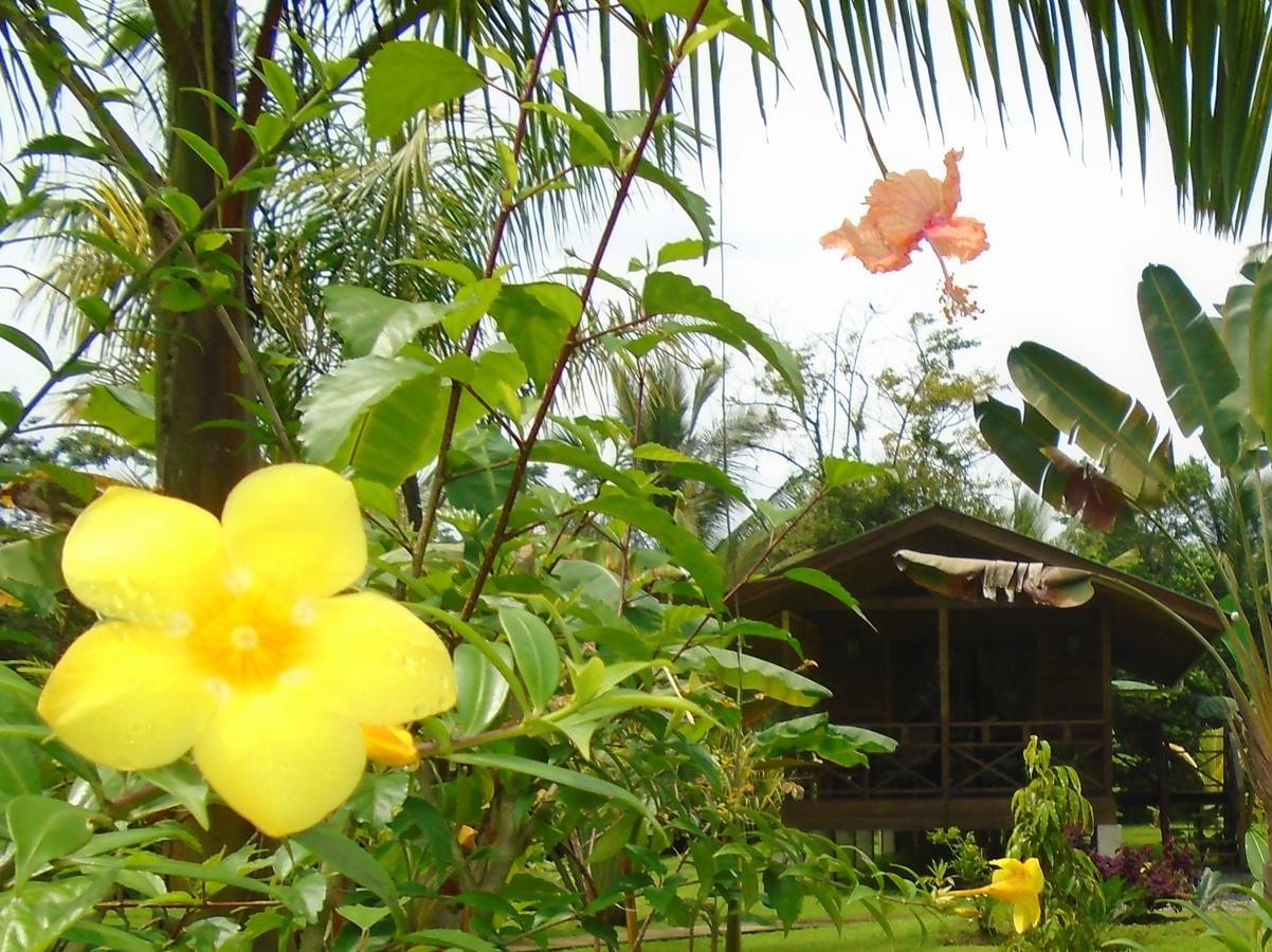 J And H Garden Cabinas Bocas Town Luaran gambar